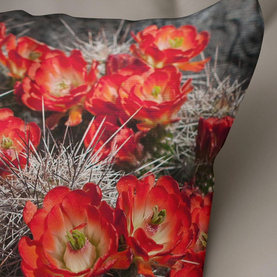 Black and Red Cactus Flowers Throw Pillow Cover - Pillows