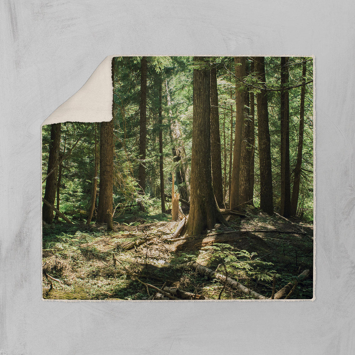Cedar Forest Sherpa Throw Blanket Trees Vegan Fleece - 2