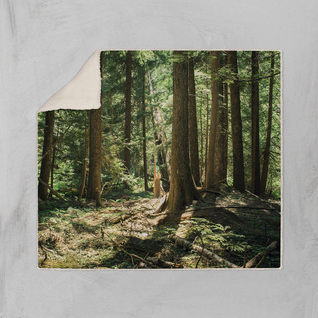 Cedar Forest Sherpa Throw Blanket Trees Vegan Fleece - 2
