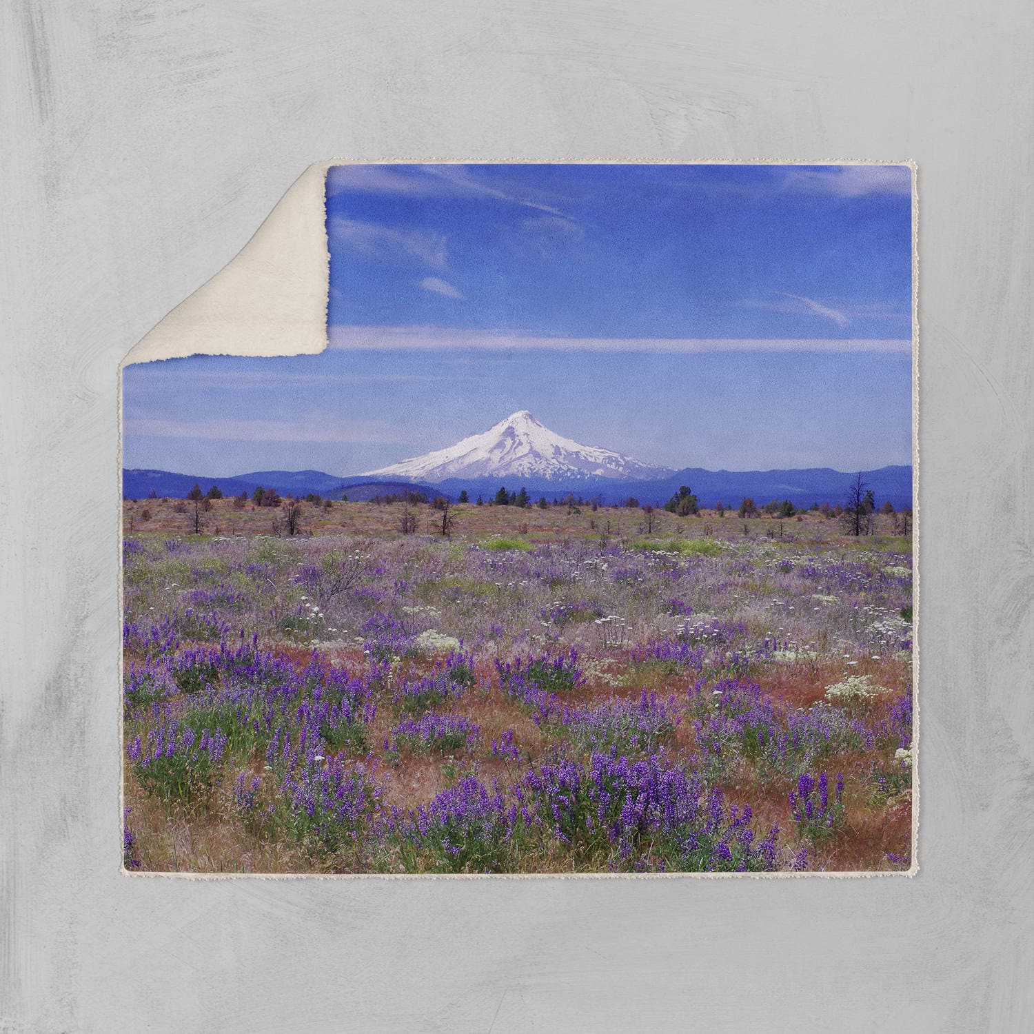 Mt Hood Oregon Warm Fleece Throw Blanket Gift Vegan Sherpa -