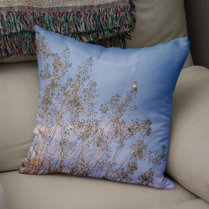 Bluebird Throw Pillow Cover Nature Decor Bird Watcher Gift -