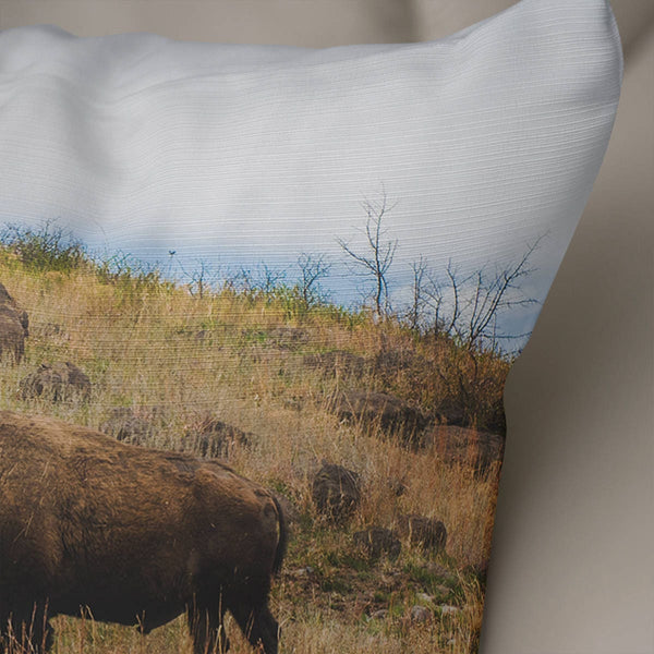 Bison Throw Pillow Cover Rustic Decor Wichita Mountains