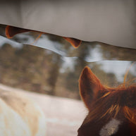 Equine Throw Pillow Cover Horses Couch Cushion - Pillows