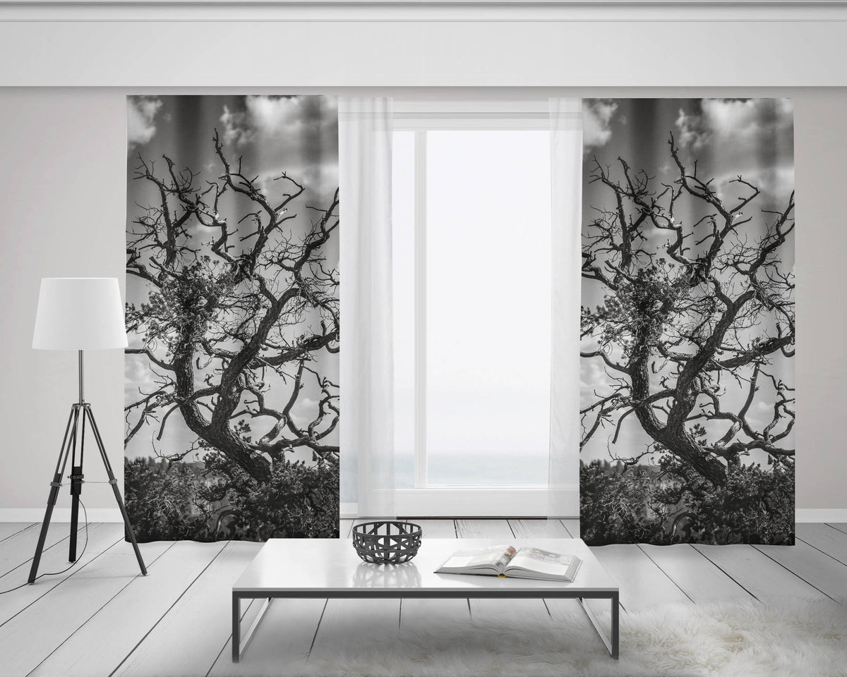 Black and White Tree Branches Window Curtains 50x84 Sheer