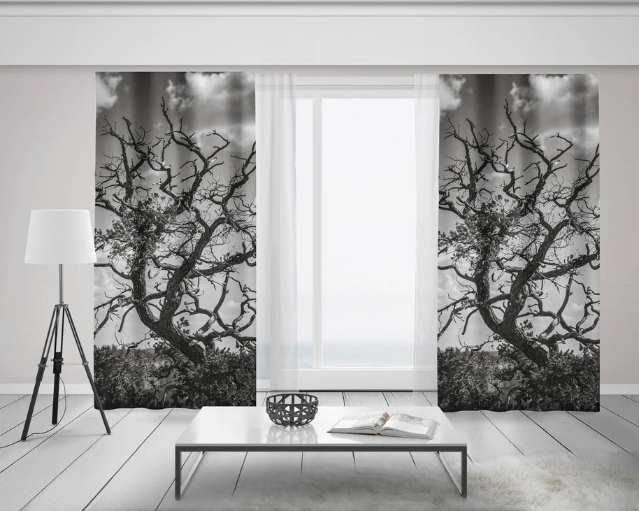 Black and White Tree Branches Window Curtains 50x84 Sheer