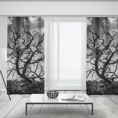Black and White Tree Branches Window Curtains 50x84 Sheer