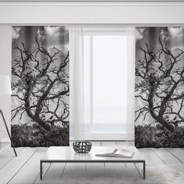Black and White Tree Branches Window Curtains 50x84 Sheer