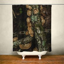 Turkey Tail Mushroom Shower Curtain 71x74 inch - in