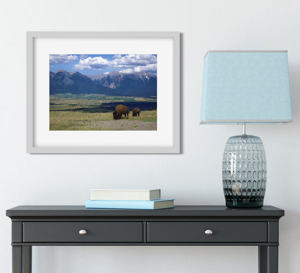 Mountains and Bison Photo Print Montana Landscape -