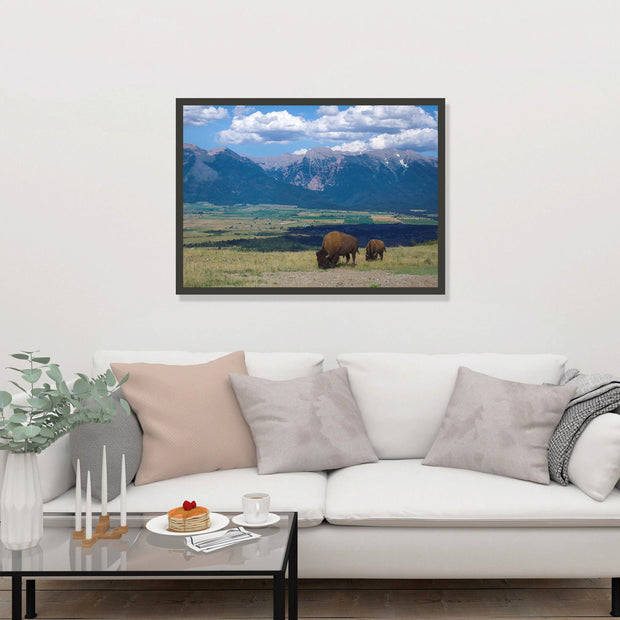 Mountains and Bison Photo Print Montana Landscape -
