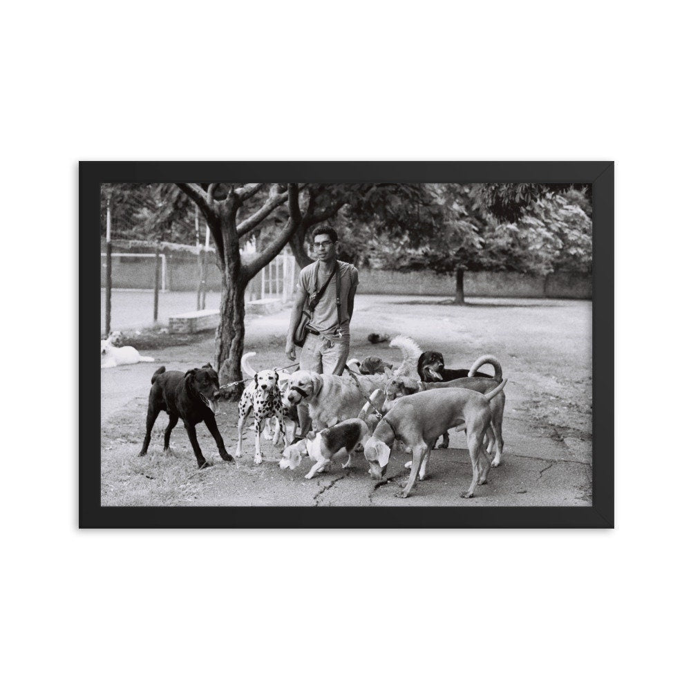 Dog Walker Photo Print Buenos Aires Argentina Wall Art -