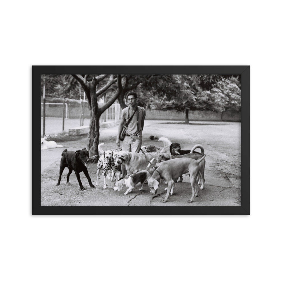 Dog Walker Photo Print Buenos Aires Argentina Wall Art -