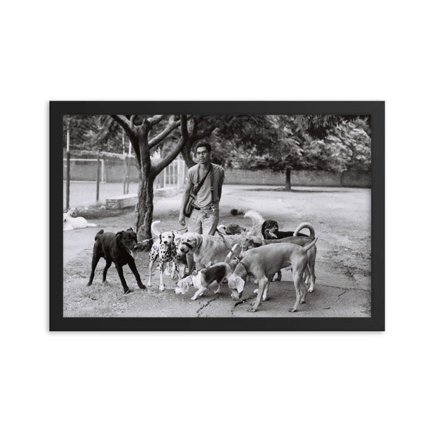 Dog Walker Photo Print Buenos Aires Argentina Wall Art -
