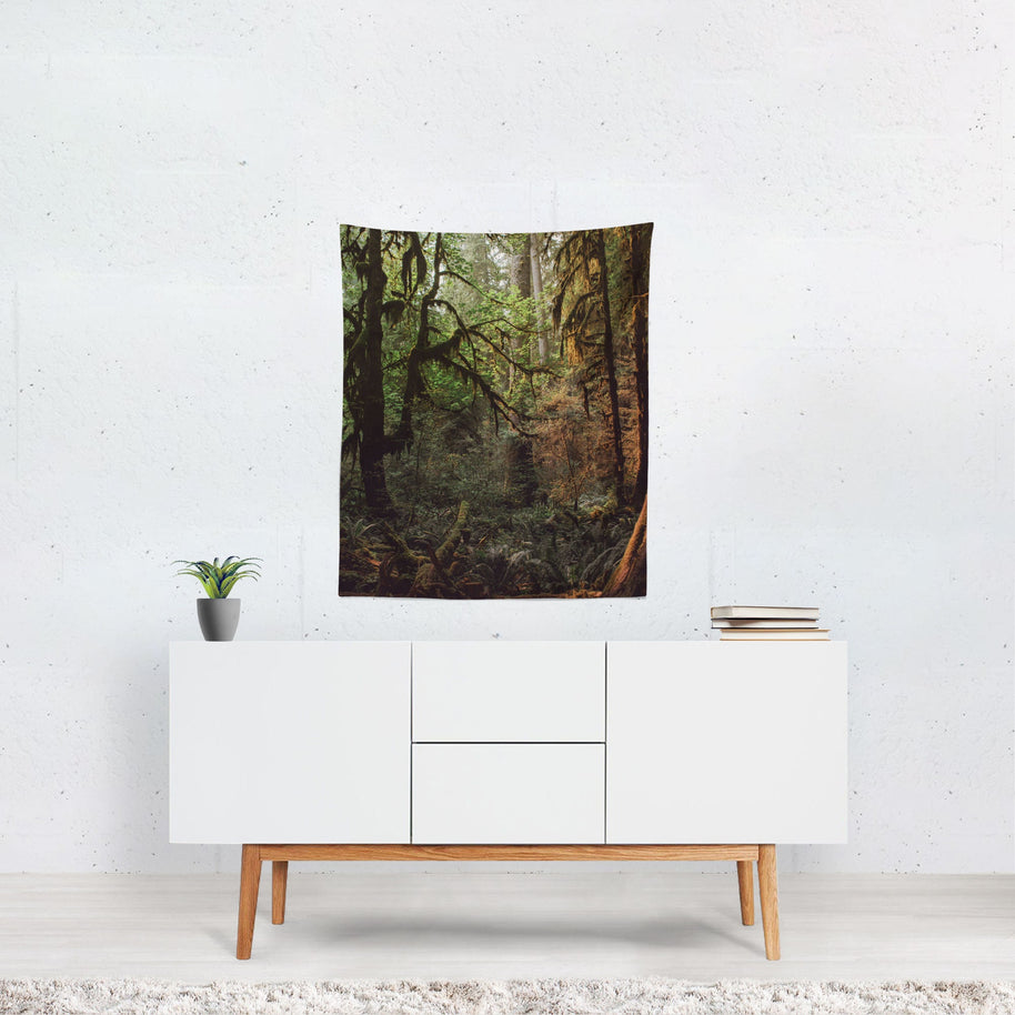 Mystic Forest Tapestry Olympic National Park Pacific