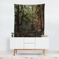 Mystic Forest Tapestry Olympic National Park Pacific