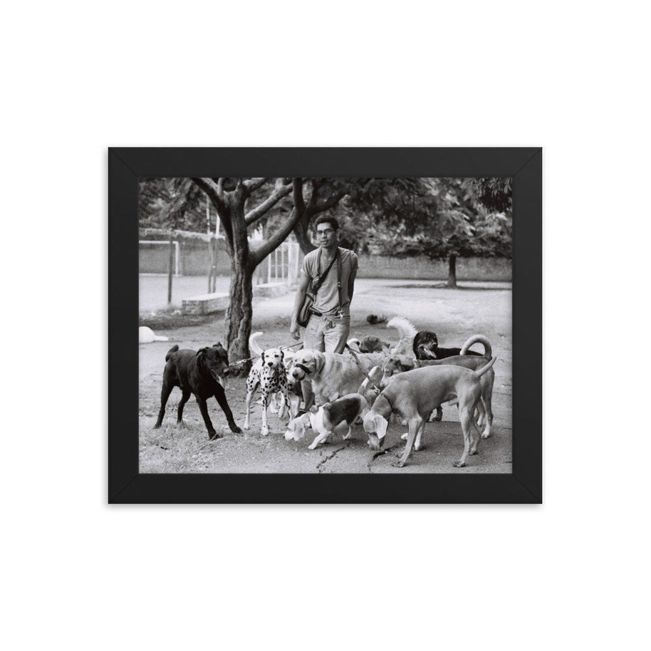 Dog Walker Photo Print Buenos Aires Argentina Wall Art -