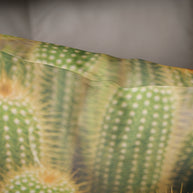 Fuzzy Cactus Throw Pillow Cover Southwest Nature Decor -