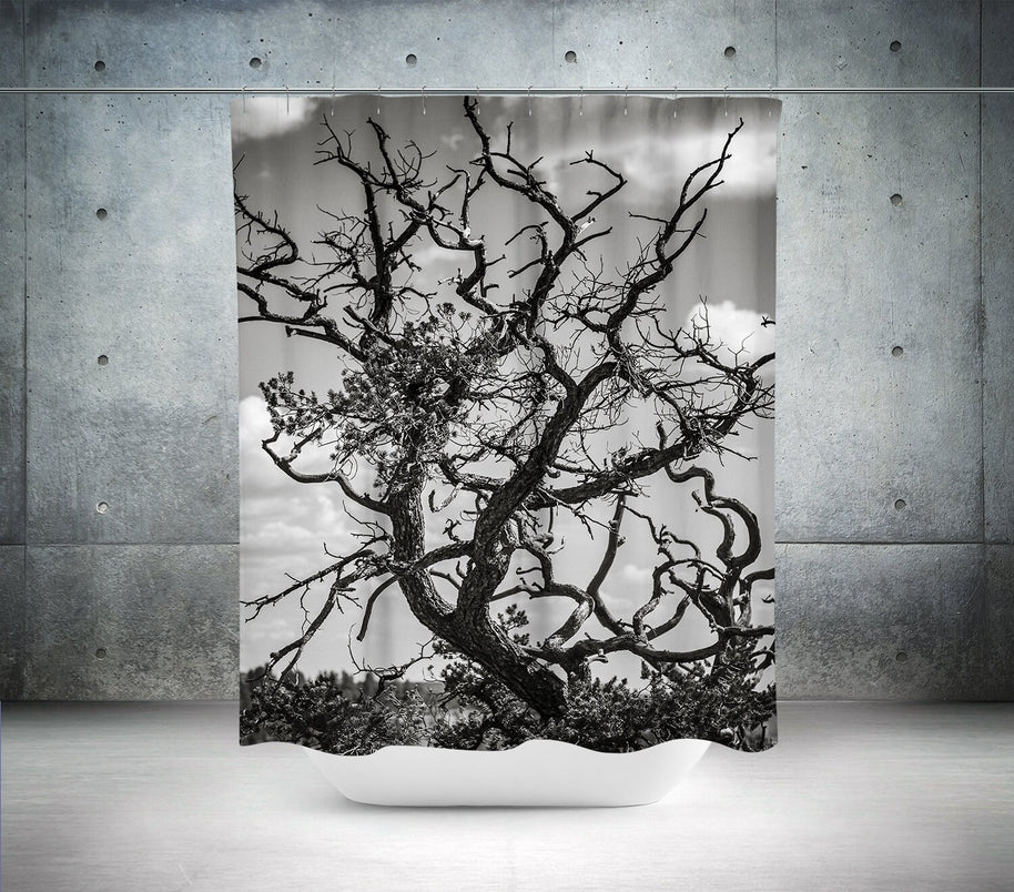Southwest Tree Shower Curtain 71x74 inch Desert Decor - in