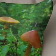 Little Mushrooms Throw Pillow Cover Pacific Northwest Cedar