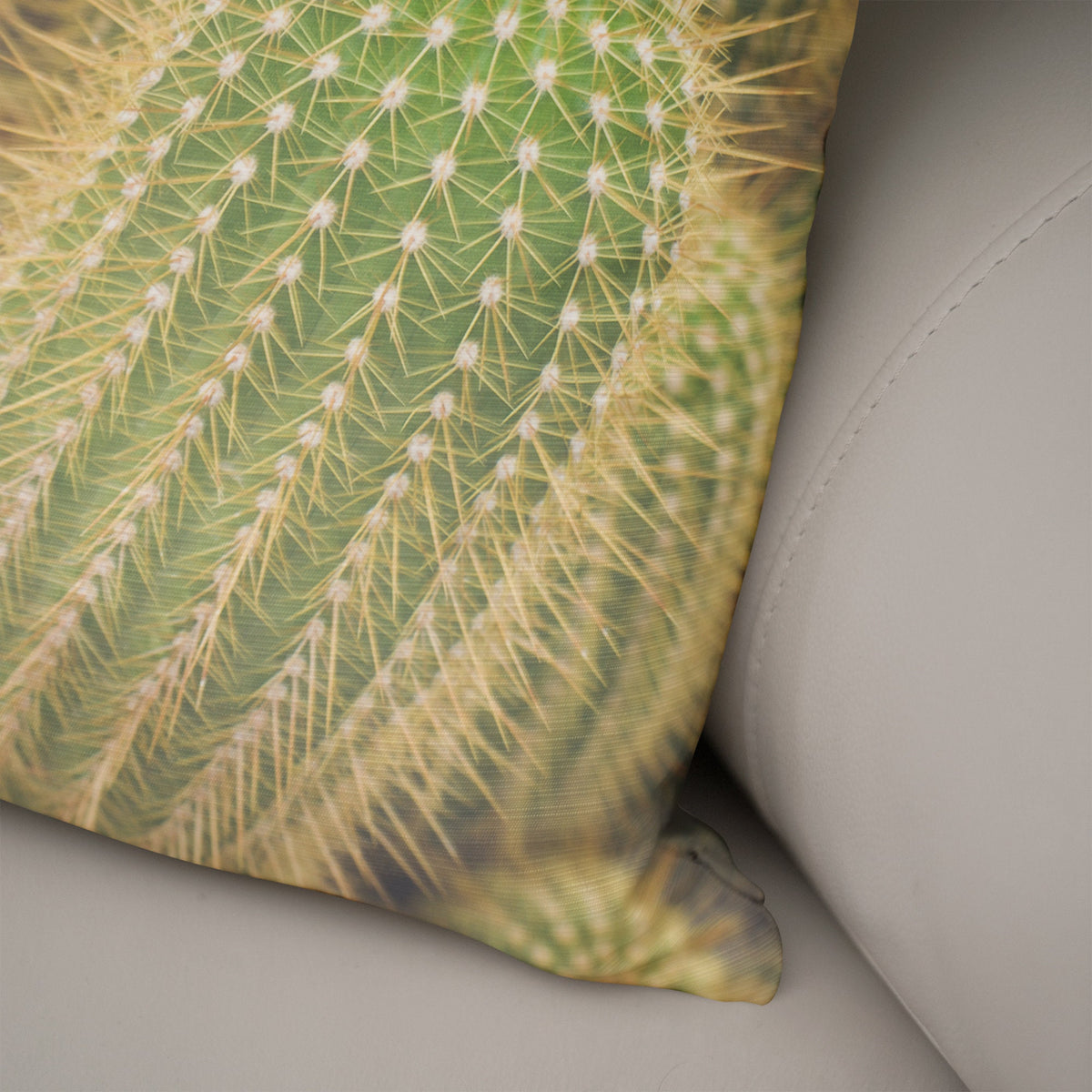 Fuzzy Cactus Throw Pillow Cover Southwest Nature Decor -