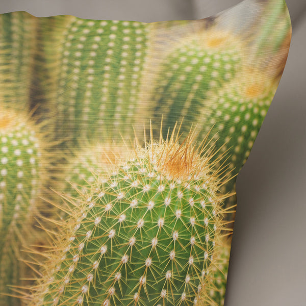 Fuzzy Cactus Throw Pillow Cover Southwest Nature Decor -