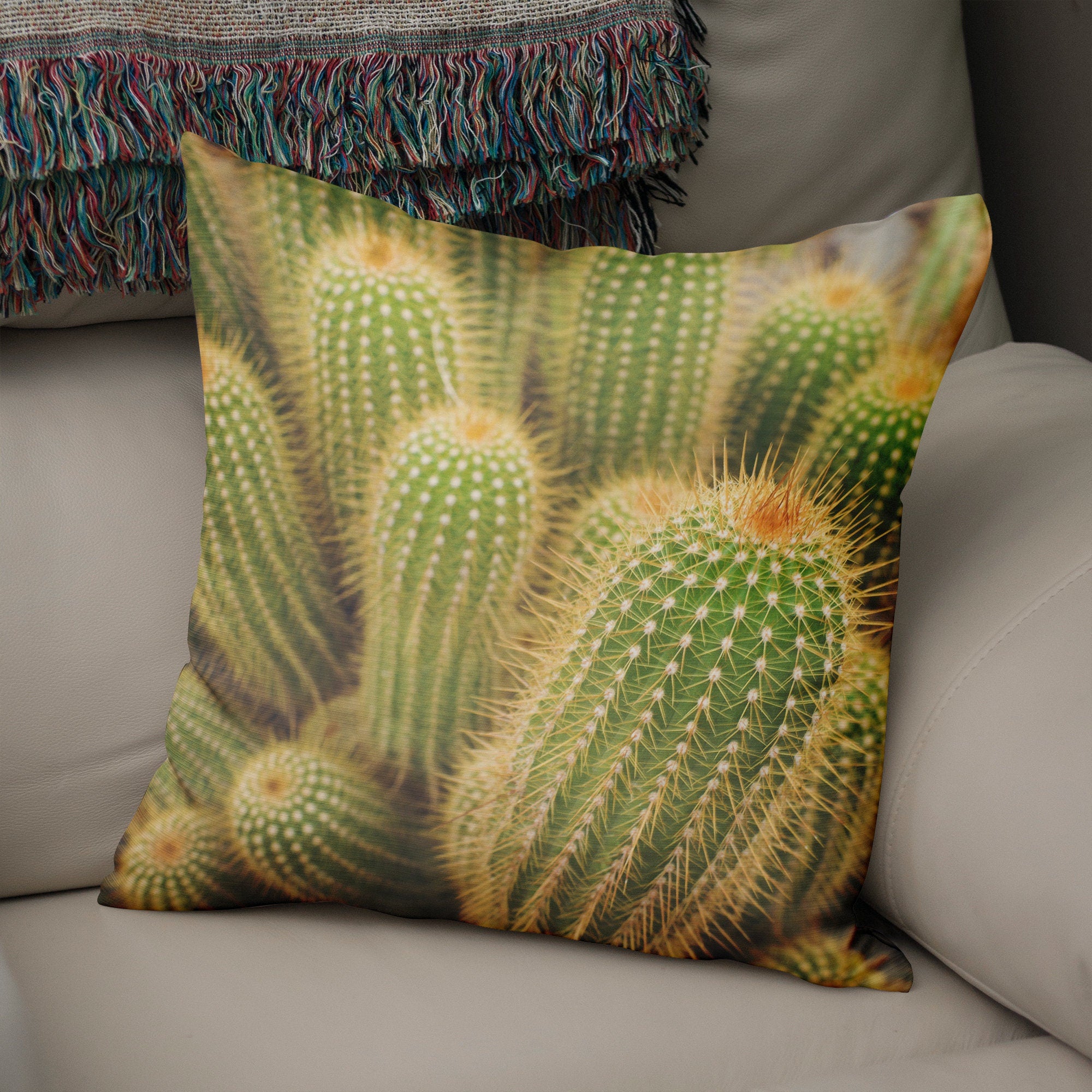 Fuzzy Cactus Throw Pillow Cover Southwest Nature Decor -