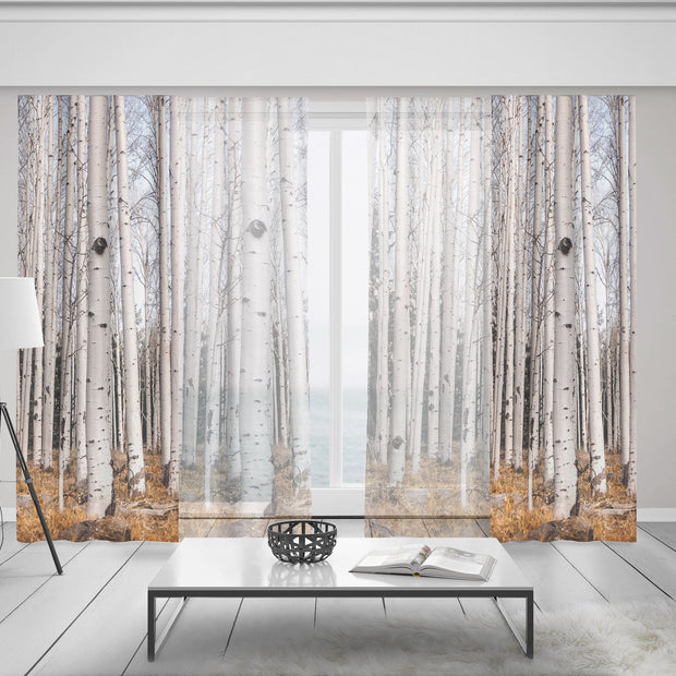 Trees of Reason Birch Forest Window Curtains 50x84 Sheer and Blkackout