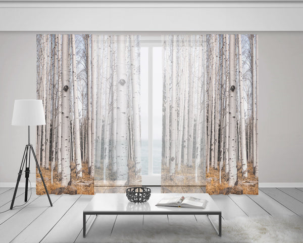 Trees of Reason Birch Forest Window Curtains 50x84 Sheer
