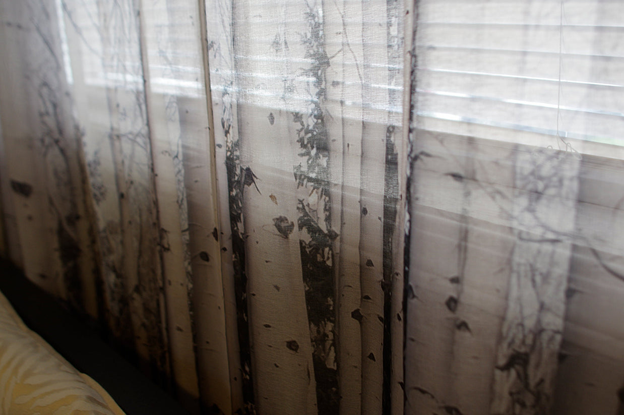 Trees of Reason Birch Forest Window Curtains 50x84 Sheer