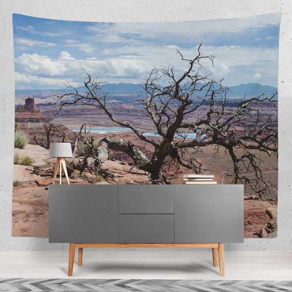 Dead Horse Point State Park Wall Art - 104x88 - Decorative