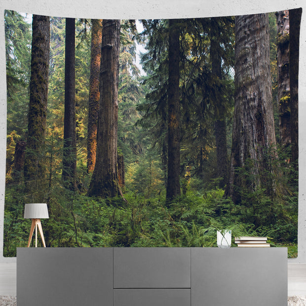 Olympic Rain Forest Wall Tapestry Cedar Trees - Decorative