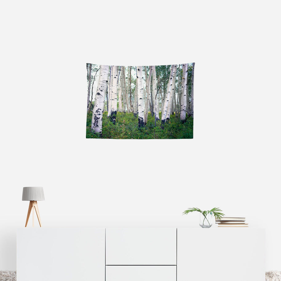 Mountain Birch Forest Wall Tapestry Trees Utah Art -