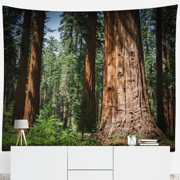 Giant Sequoia Trees Wall Tapestry - 104x88 - Decorative