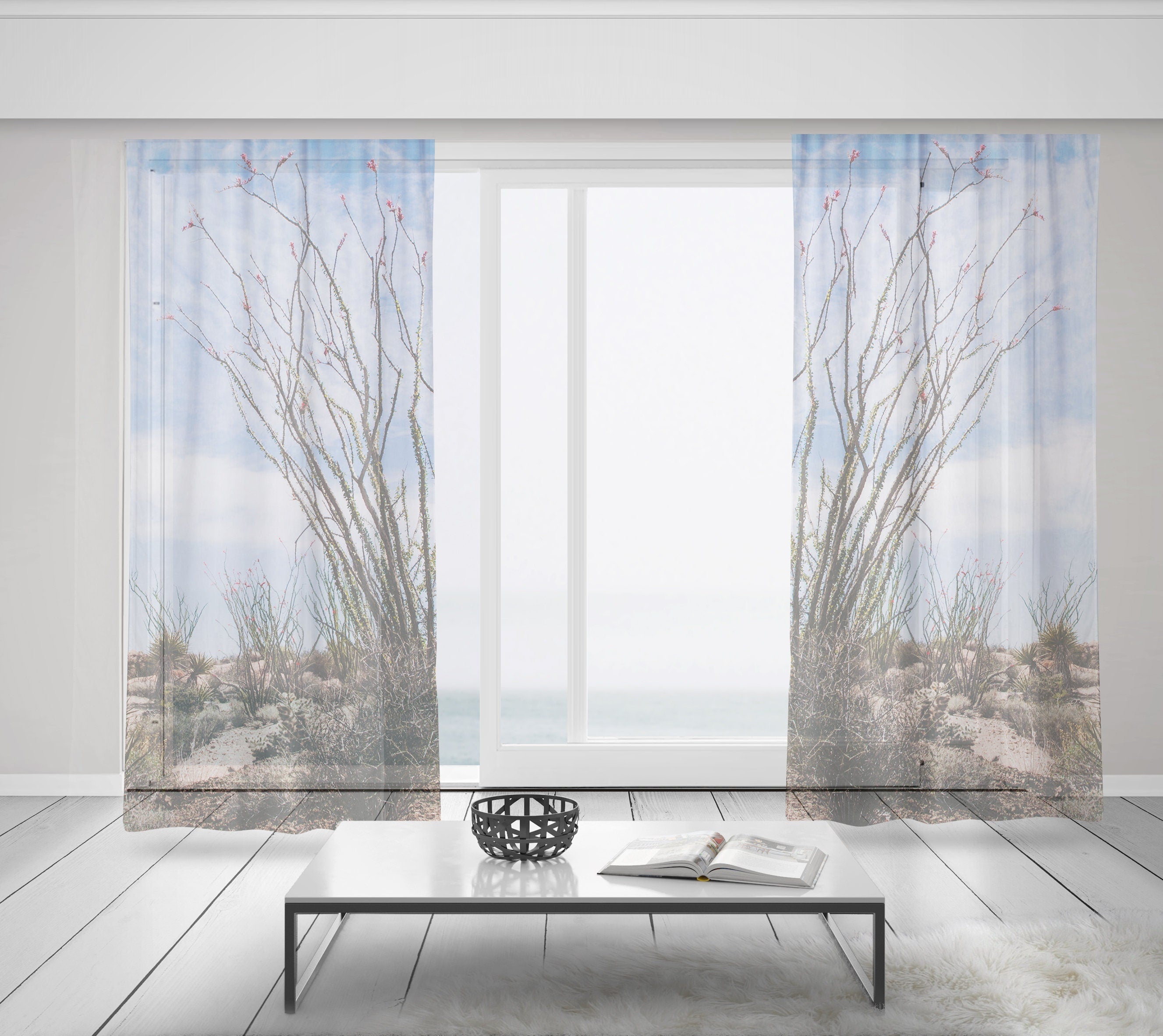 Ocotillo Plant Window Curtains Joshua Tree National Park
