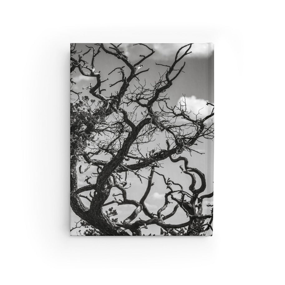 Desert Tree Branches Notebook - Spiral or Hard Cover Ruled