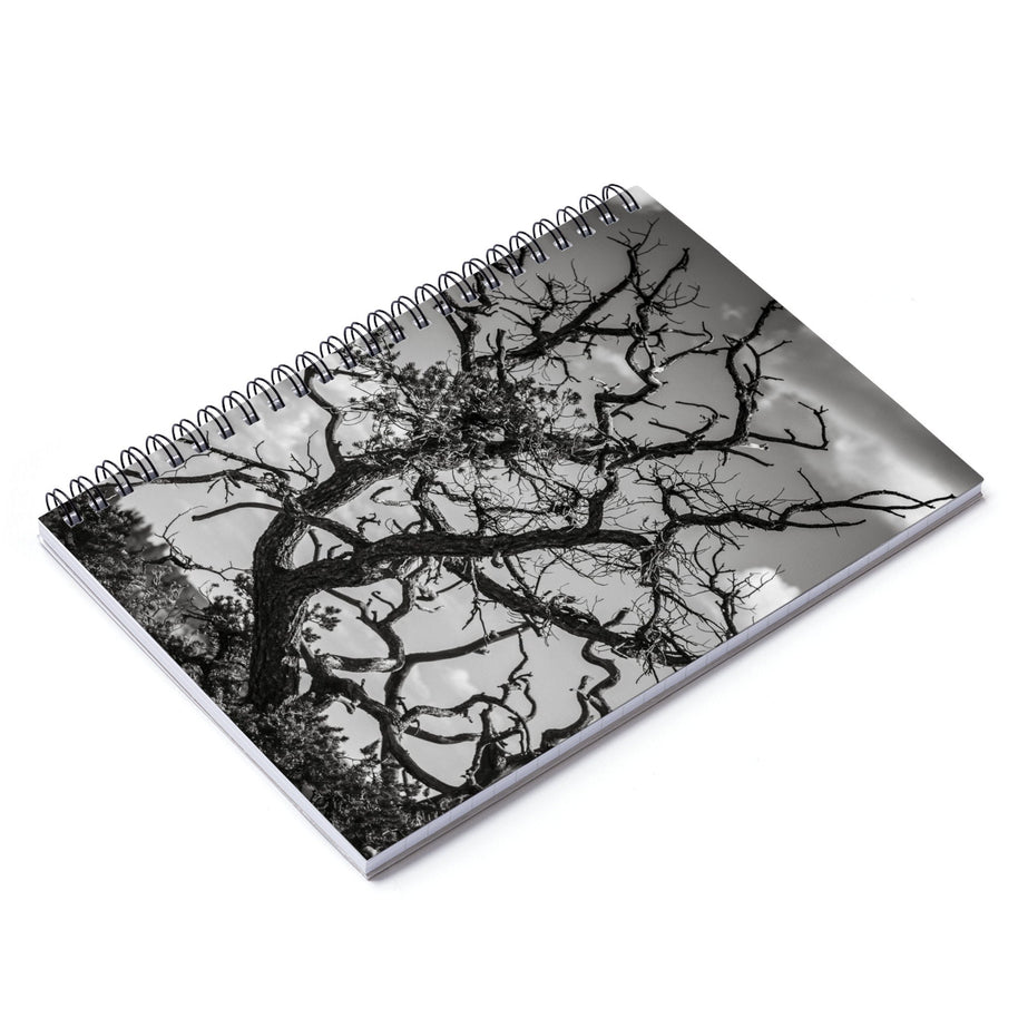 Desert Tree Branches Notebook - Spiral or Hard Cover Ruled
