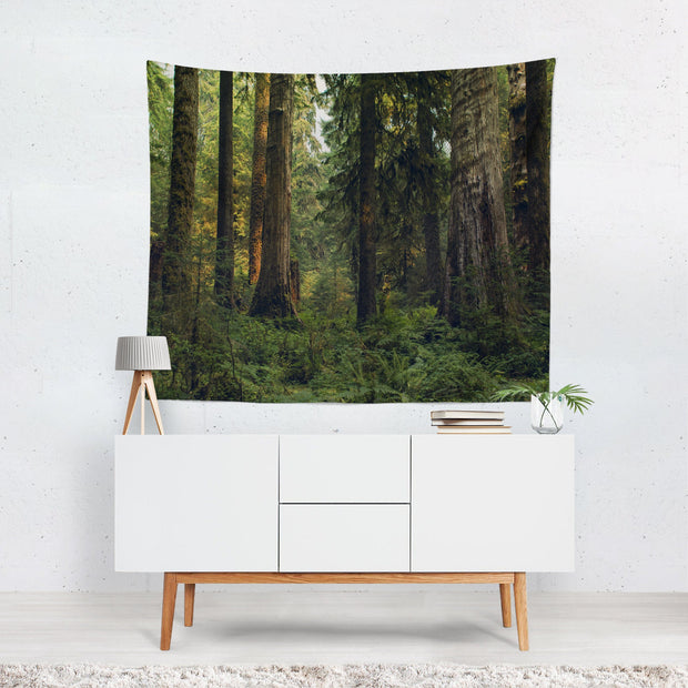 Olympic Rain Forest Wall Tapestry Cedar Trees - Decorative