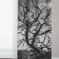 Black and White Tree Branches Window Curtains 50x84 Sheer