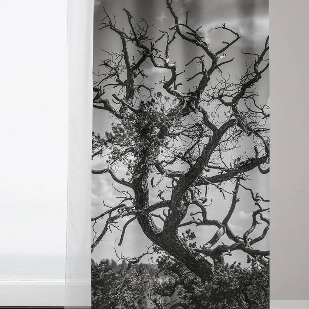 Black and White Tree Branches Window Curtains 50x84 Sheer