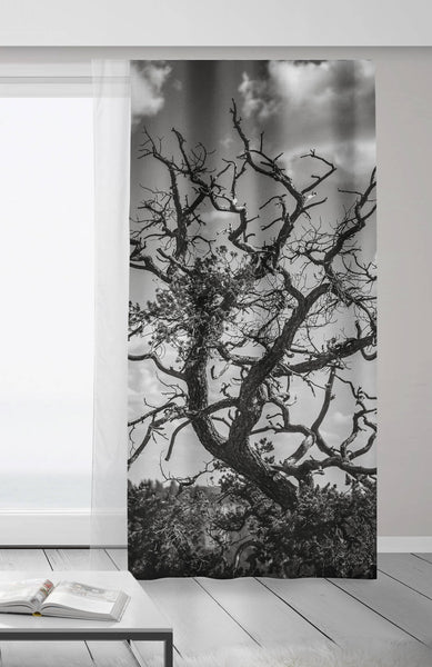Black and White Tree Branches Window Curtains 50x84 Sheer