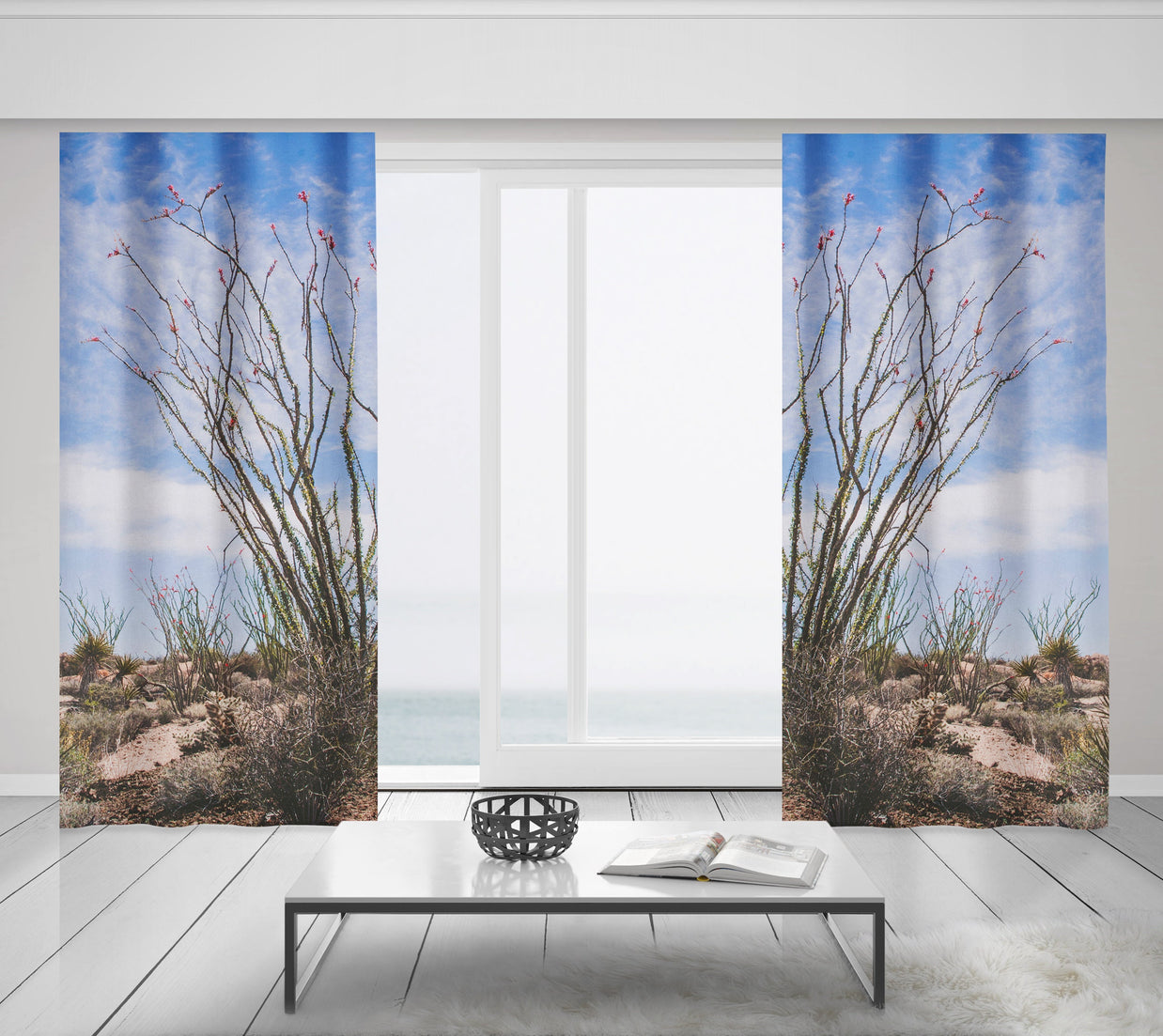 Ocotillo Plant Window Curtains Joshua Tree National Park