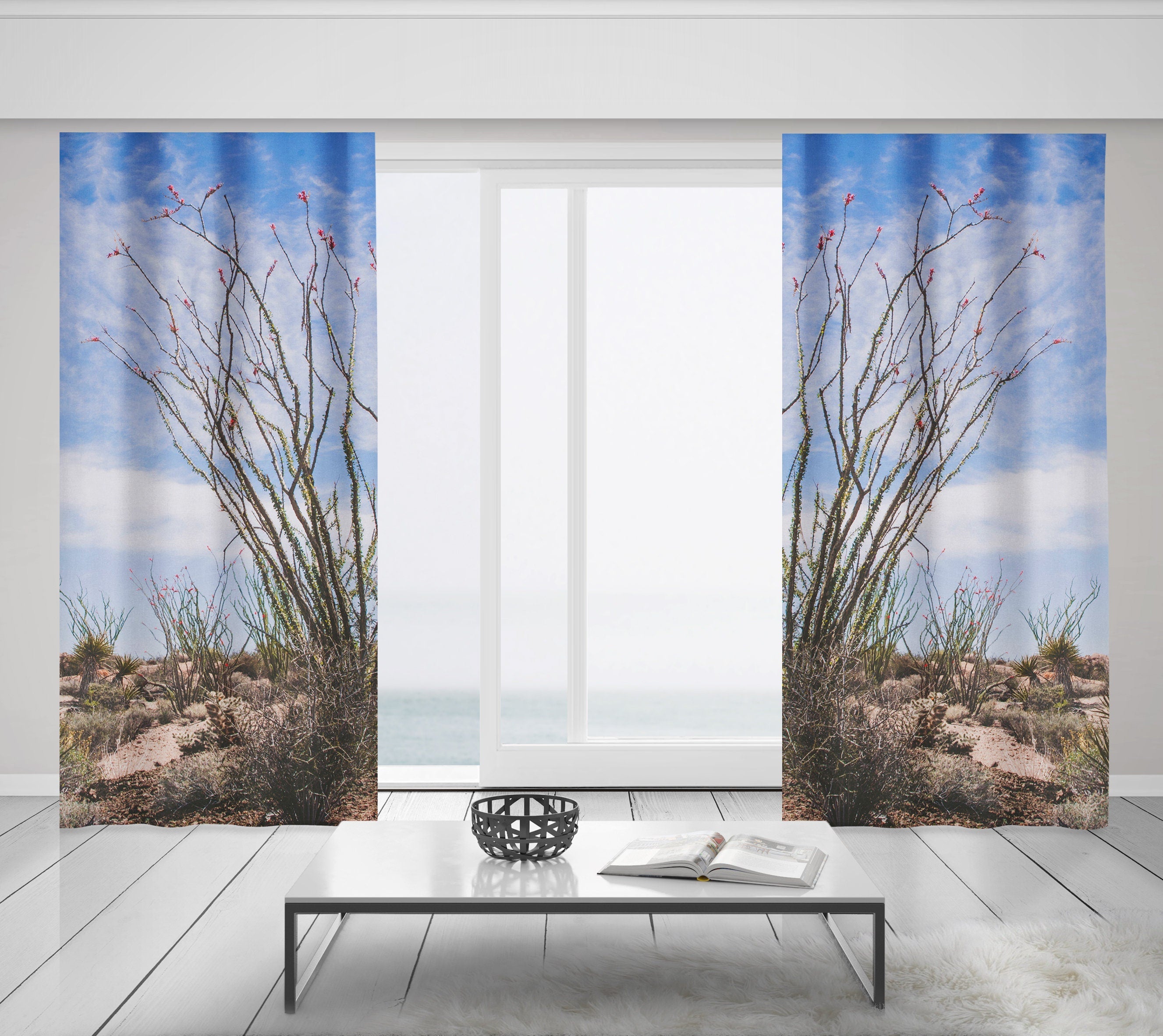 Ocotillo Plant Window Curtains Joshua Tree National Park