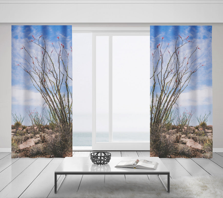 Ocotillo Plant Window Curtains Joshua Tree National Park