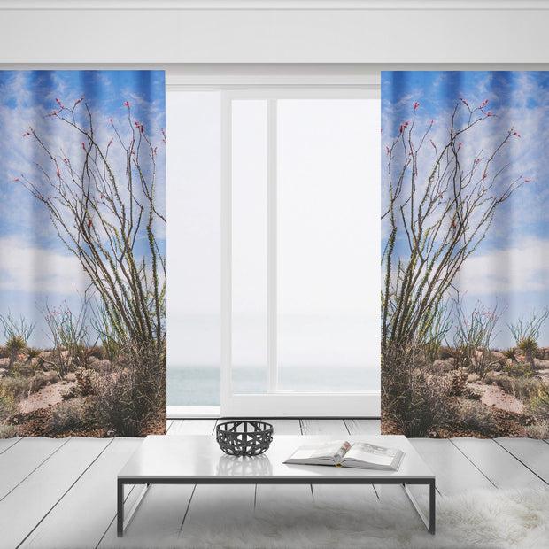 Ocotillo Plant Window Curtains Joshua Tree National Park