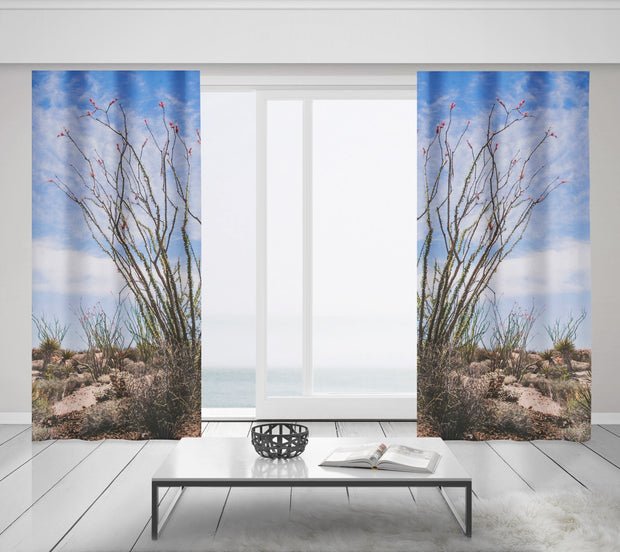 Ocotillo Plant Window Curtains Joshua Tree National Park