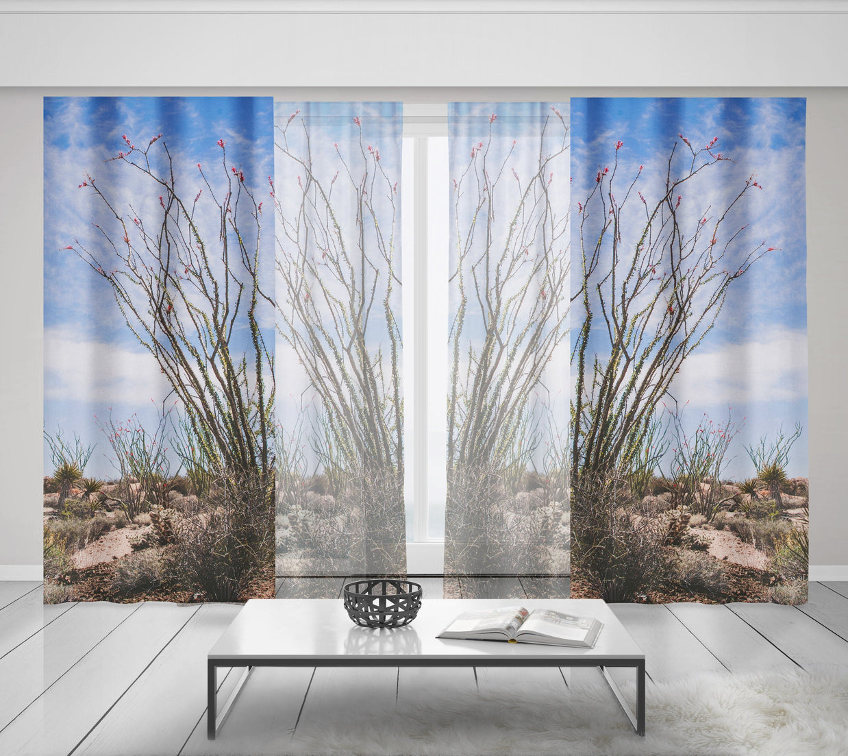 Ocotillo Plant Window Curtains Joshua Tree National Park