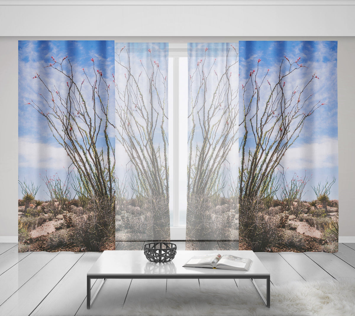 Ocotillo Plant Window Curtains Joshua Tree National Park