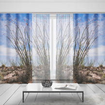 Ocotillo Plant Window Curtains Joshua Tree National Park