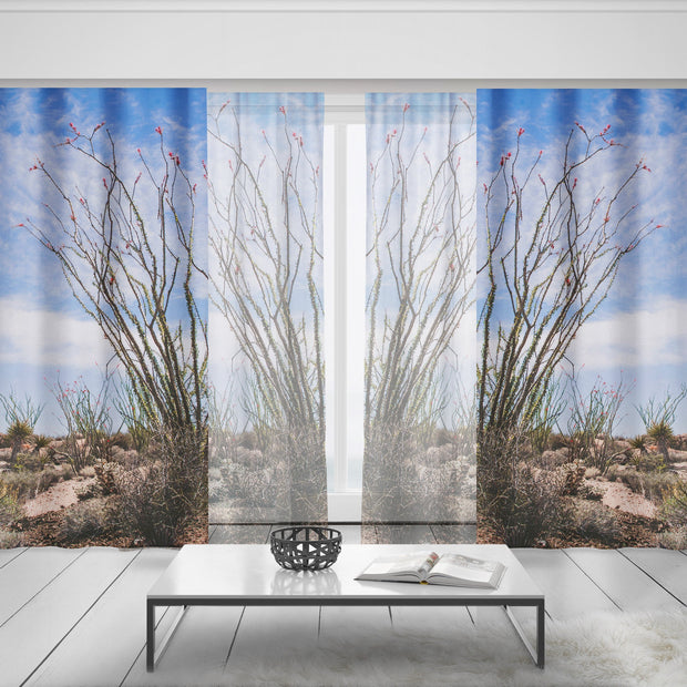 Ocotillo Plant Window Curtains Joshua Tree National Park