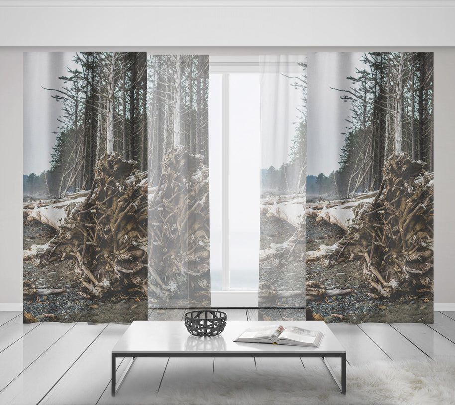 Olympic National Park Rialto Beach Window Curtains 50x84